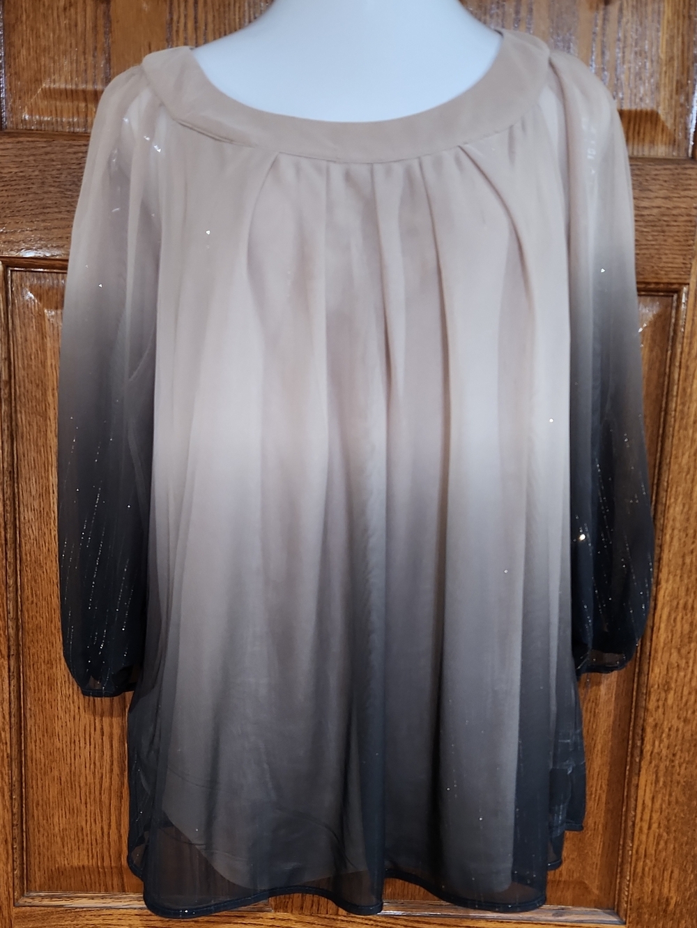 Roz & Ali Women's Ombre Sheer Long-Sleeve Blouse - Beige to Black 2x